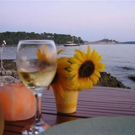 Appartement Studio In With Balcony, Air Condition, Wifi, Washing Machine Rovinj